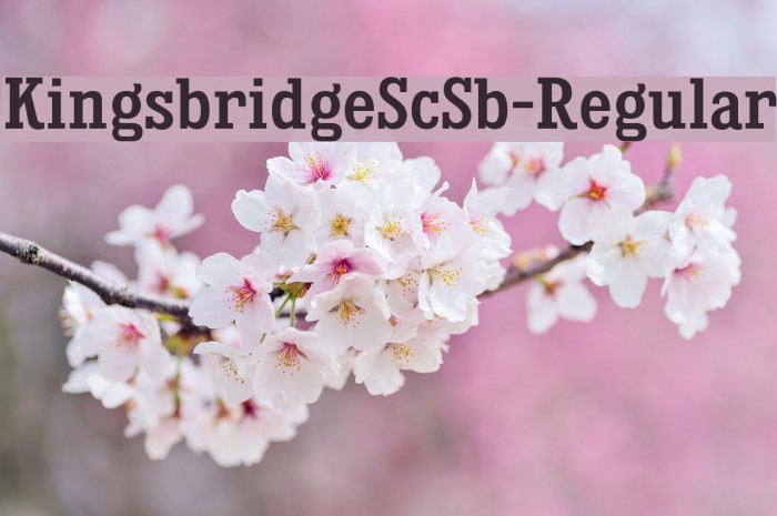 KingsbridgeScSb-Regular Font examples