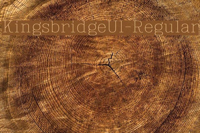 KingsbridgeUl-Regular Font examples