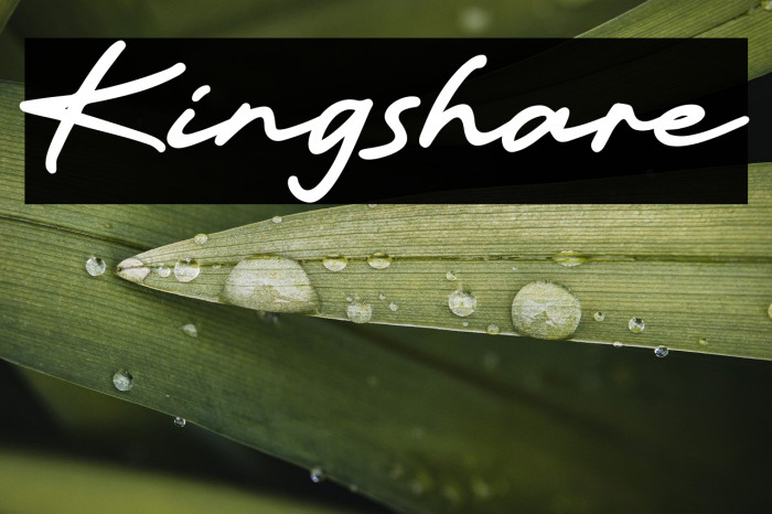 Kingshare Example 2