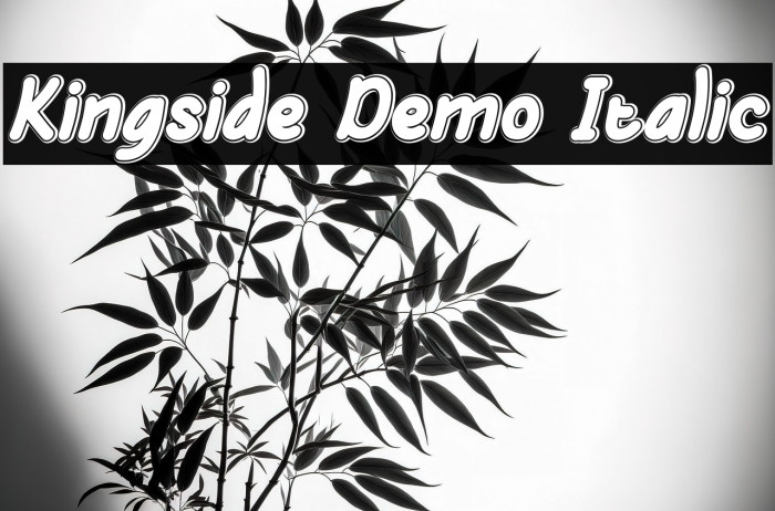 Kingside Demo Italic Example 1