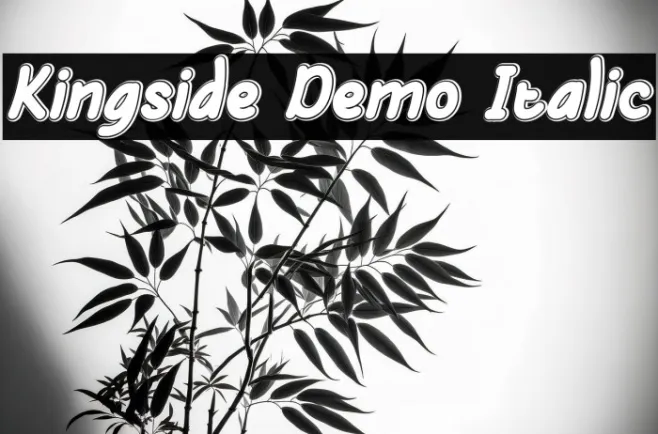 Kingside Demo Italic Example 1