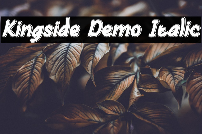 Kingside Demo Italic Example 2