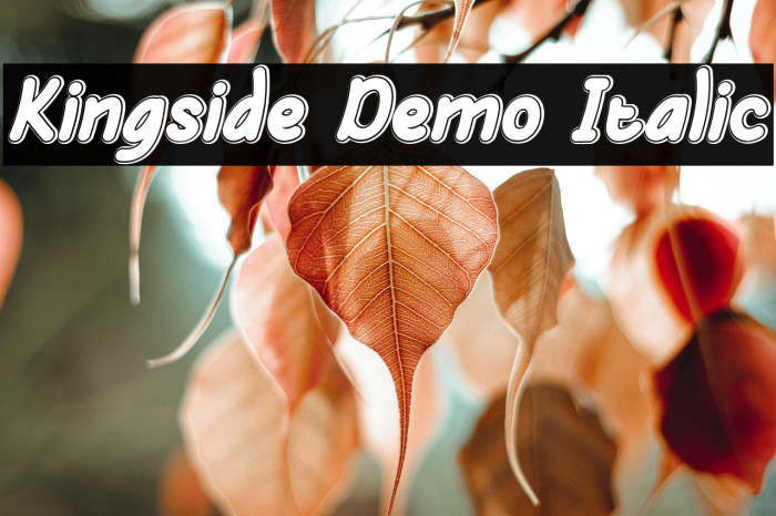 Kingside Demo Italic Example 3