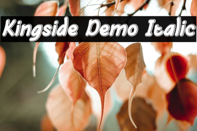 Kingside Demo Italic Example 3