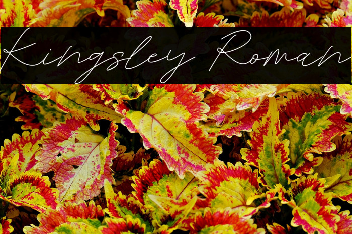 Kingsley Roman Example 1