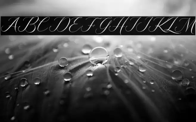 Kingsley Font examples