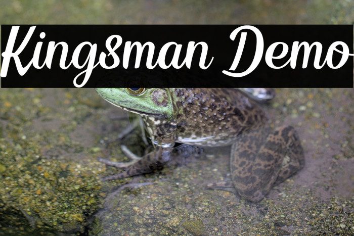 Kingsman Demo Example 1