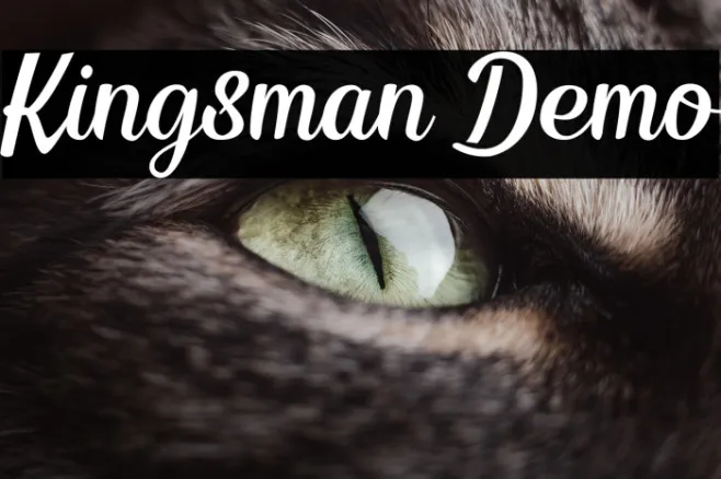 Kingsman Demo Example 3