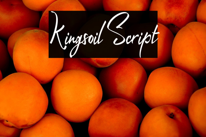 Kingsoil Script Example 1