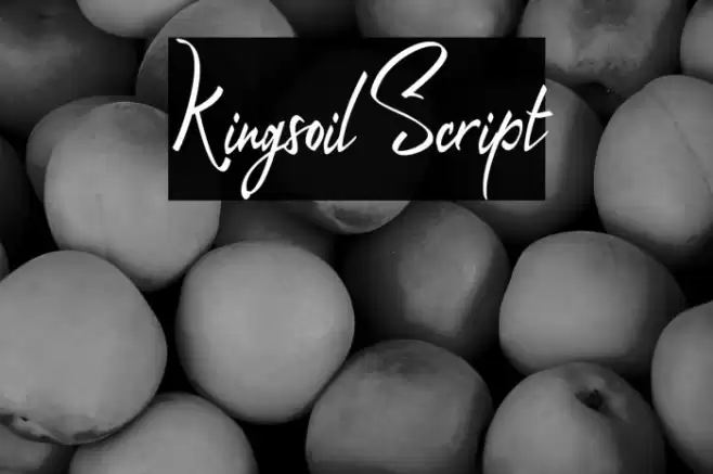 Kingsoil Script Font examples