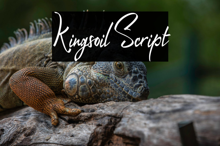 Kingsoil Script Example 2