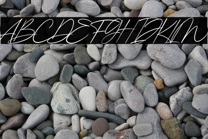 Kingston Signature Example 1