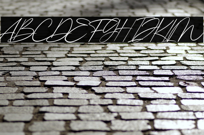 Kingston Signature Example 2