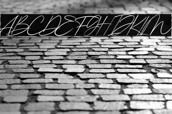 Kingston Signature Font examples