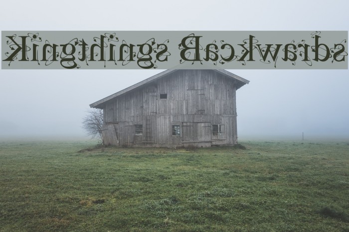 Kingthings Backwards لخطوط تنزيل examples