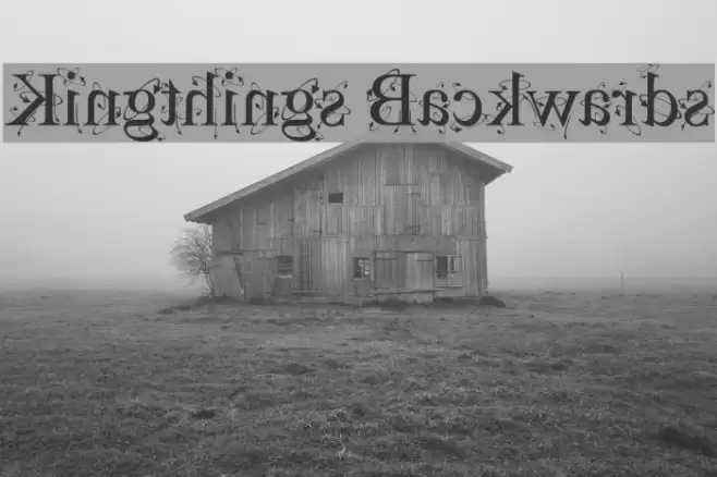 Kingthings Backwards Font examples