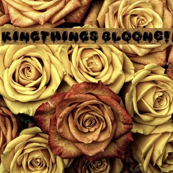 Kingthings Bloone! Font examples