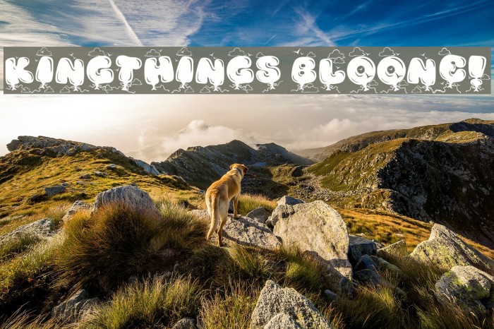 Kingthings Bloone! Font examples