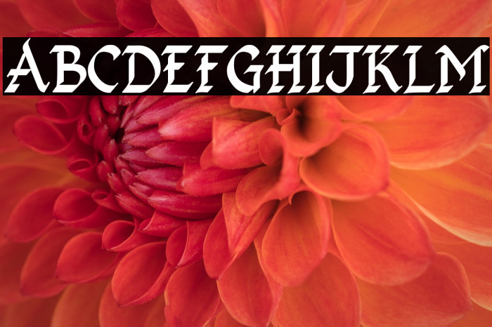 Kingthings Calligraphica 2 Example 1