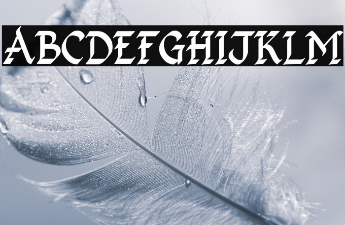 Kingthings Calligraphica 2 Example 2