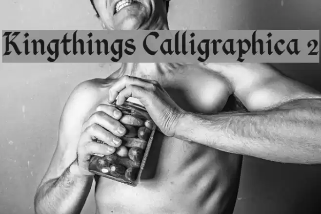 Kingthings Calligraphica 2 Font examples