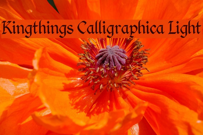Kingthings Calligraphica Light Font examples
