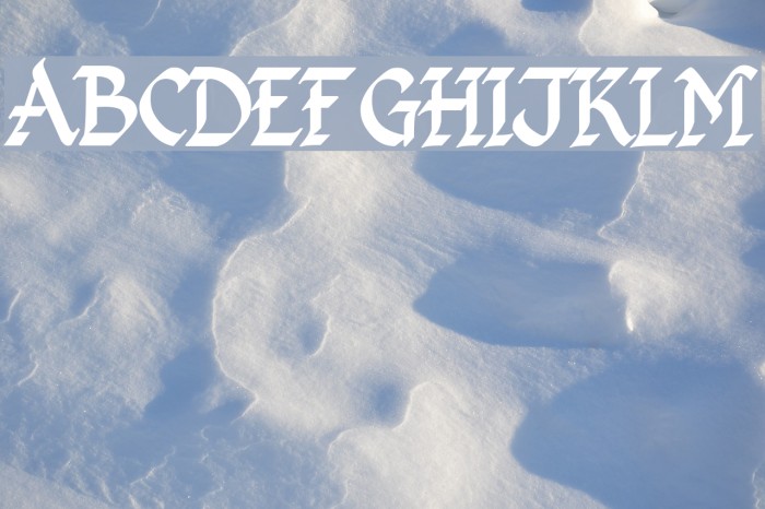Kingthings Calligraphica Font examples