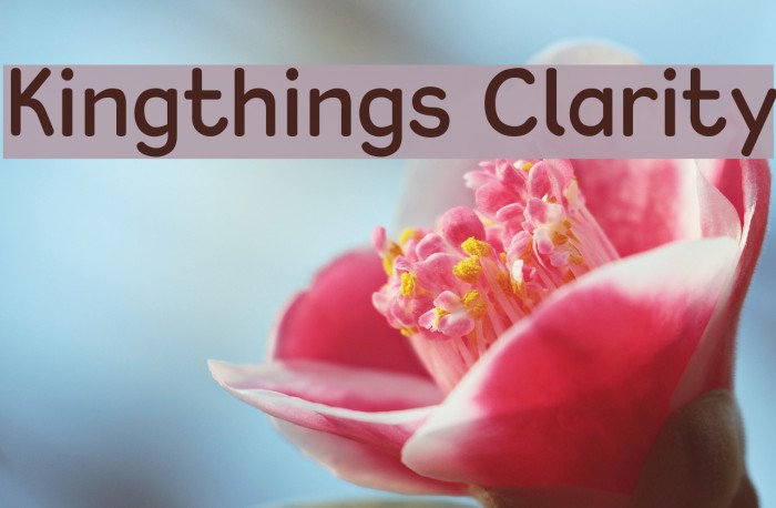 Kingthings Clarity Font examples