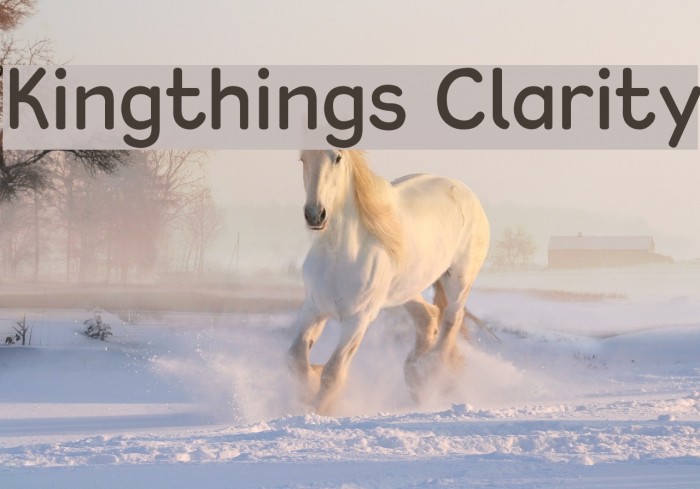 Kingthings Clarity Font examples
