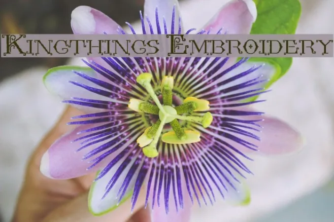 Kingthings Embroidery Example 2