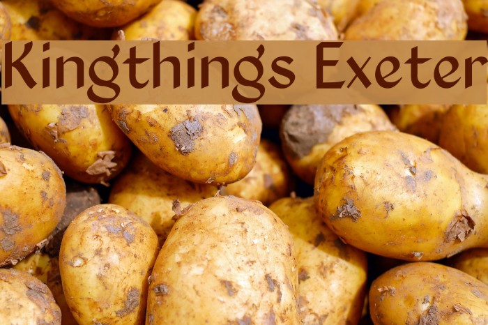 Kingthings Exeter Font examples