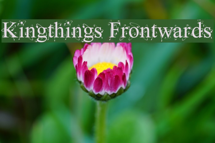 Kingthings Frontwards Example 3