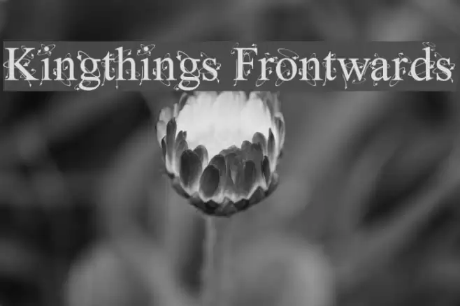 Kingthings Frontwards Font examples