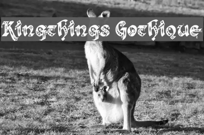 Kingthings Gothique Font examples
