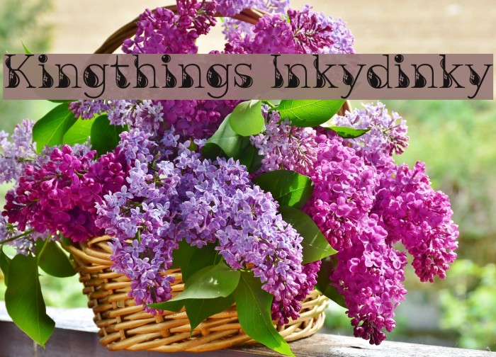 Kingthings Inkydinky Font examples