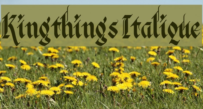 Kingthings Italique Font examples