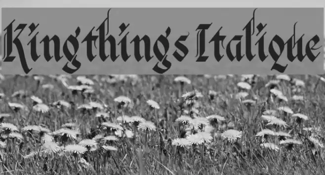 Kingthings Italique フォント examples