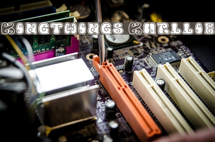 Kingthings Kurllie Font examples