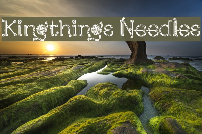 Kingthings Needles Font examples
