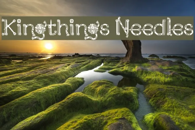 Kingthings Needles Example 1
