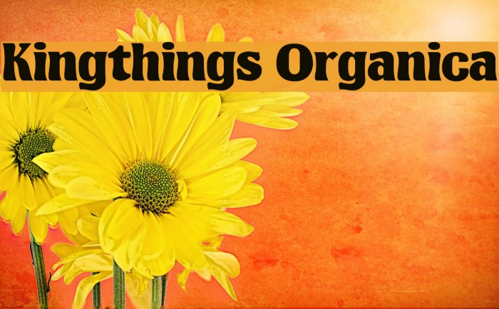 Kingthings Organica フォント examples