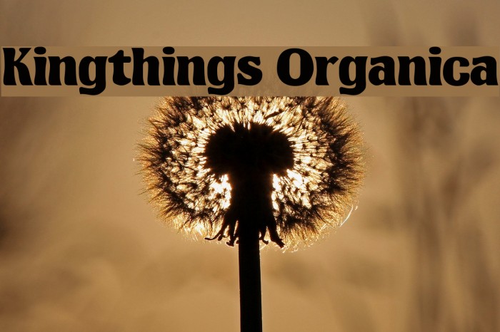 Kingthings Organica フォント examples