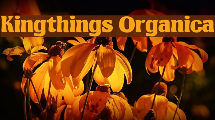 Kingthings Organica フォント examples