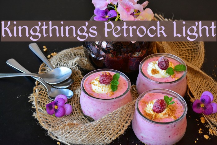 Kingthings Petrock Light Font examples