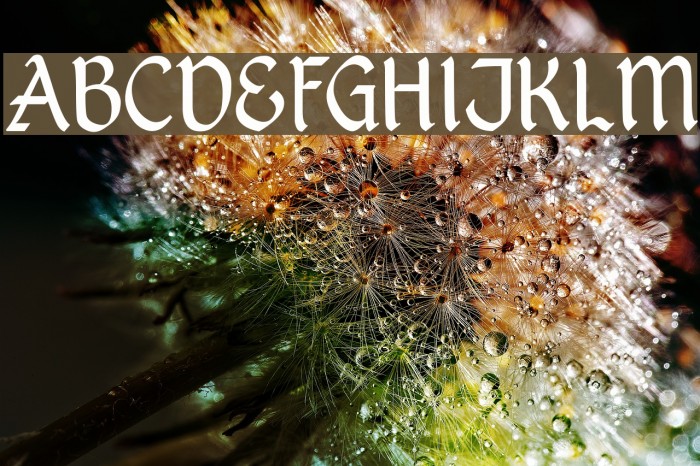 Kingthings PetrockLight Font examples