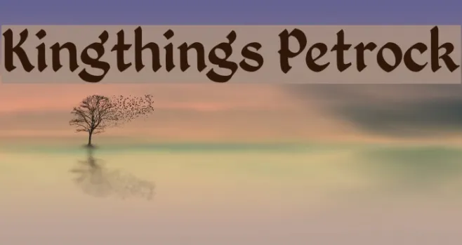 Kingthings Petrock Example 1