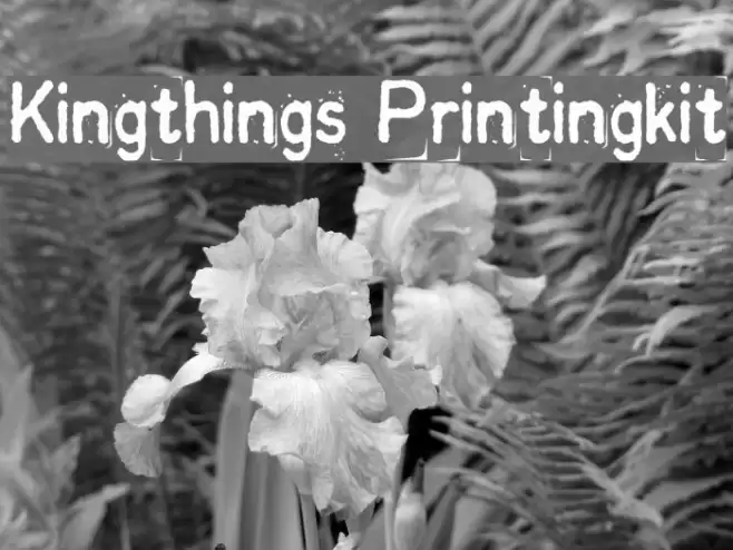 Kingthings Printingkit Fonte examples