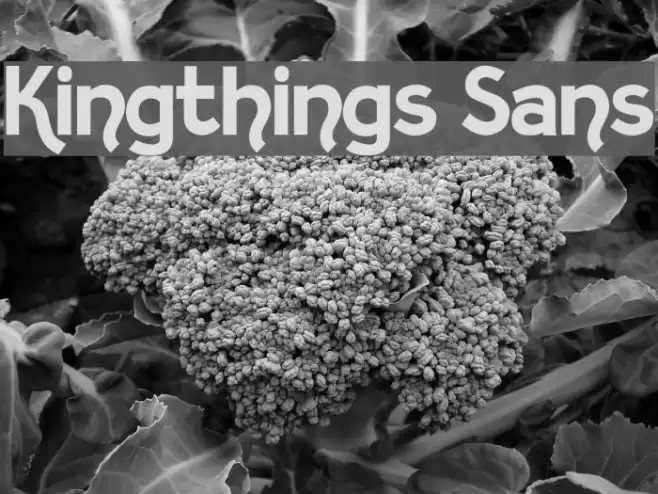 Kingthings Sans Font examples