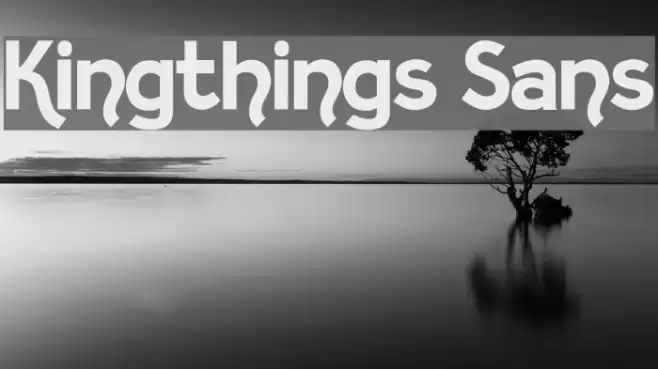 Kingthings Sans Font examples