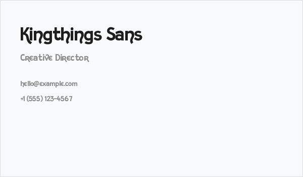 Kingthings Sans Business Card
